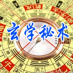 〖创富书库〗野鹤老人占卜全书校对稿